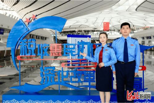 河北省稅務局實施人才 科技 雙輪驅動 推進稅收征管改革落地